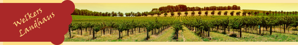 Wein aus Spanien Preisvergleich Welkers Landhaus